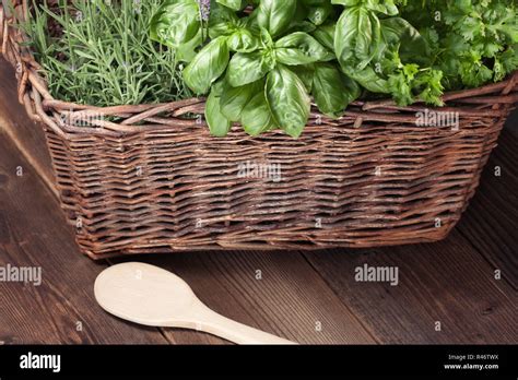 cooking with fresh herbs Stock Photo - Alamy