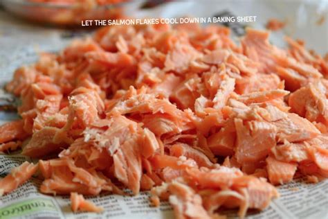 Salmon Flakes: A Flavorful Pantry Staple - The Fork Bite