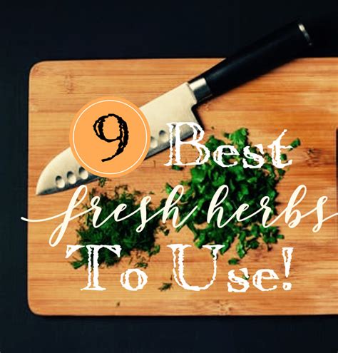 Nine Best Fresh Herbs To Use In Your Kitchen – Monterey Farmgirl
