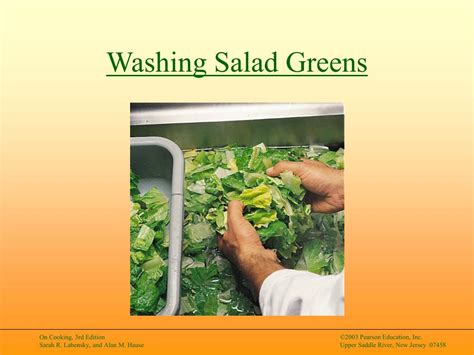 PPT - Identifying Salad Greens PowerPoint Presentation, free download ...