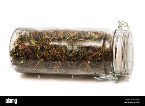herbs in a jar Stock Photo - Alamy