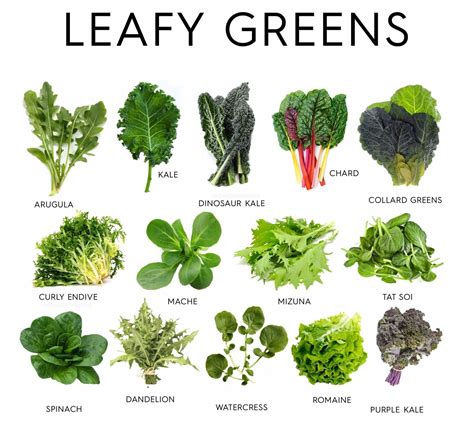 10 Types of Greens and Their Uses | Green leafy vegetable, Leafy greens ...