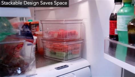Always Fresh Produce Crisper Storage Containers - PulseTV