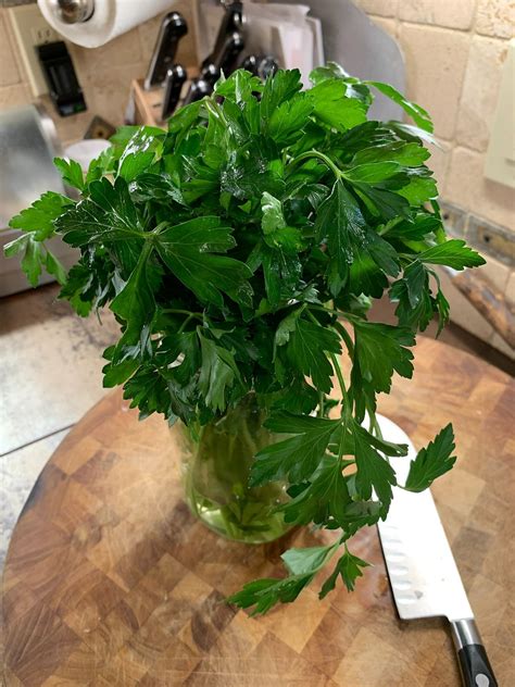 What’s the #1 visual hack for keeping fresh herbs vibrant longer?