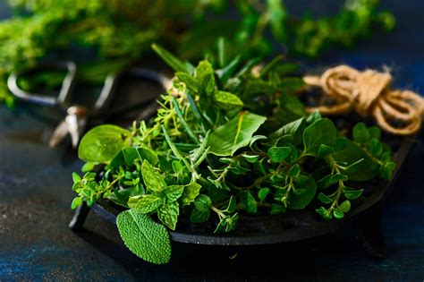 What Are Herbs and How Are They Different From Spices?