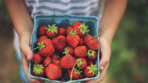 How to Store Berries: How to Store Fresh Fruit, Containers the Preserve ...