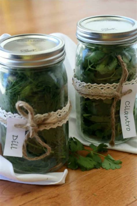 Storing Fresh Herbs - Valentina's Corner