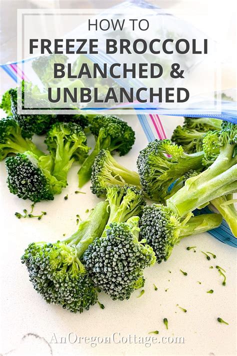 How to Freeze Broccoli - Blanched &amp; Unblanched - An Oregon Cottage ...