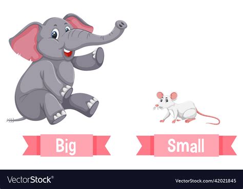 The Ultimate Guide to Big Air Plants: Where to Find and How to Choose ...