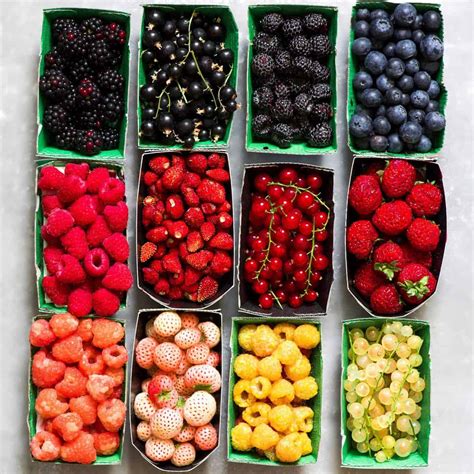 Different fresh berries types - Alphafoodie