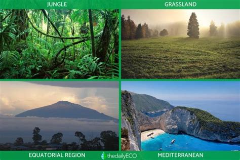 Natural Regions - Definition and Examples of Geographical Units