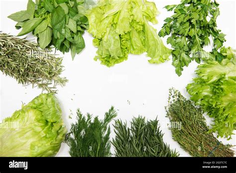 Different types of fresh garden herbs Stock Photo - Alamy