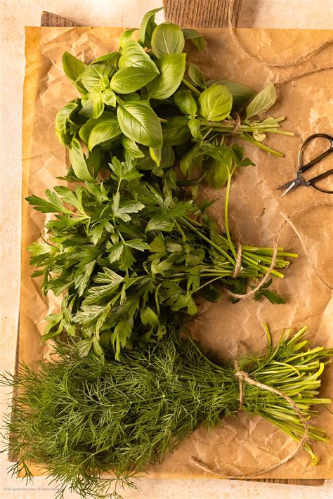 Ultimate Guide to Fresh Herbs (and how to use them!) - No Spoon Necessary