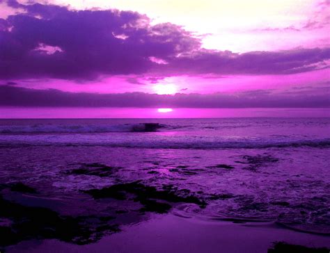 Serene: Purple from Jacci Howard Bear's Desktop Publishing Colors And ...
