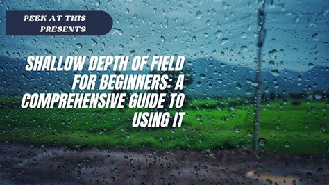Shallow Depth of Field: 5 Techniques That Actually Work