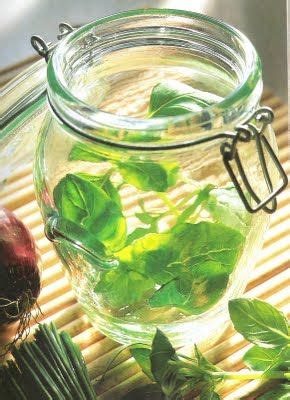 Creative Herb Storage Ideas for a Well-Kept Home