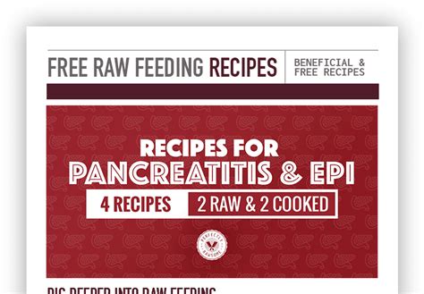 pancreatitis-epi-recipe-CTA - Perfectly Rawsome