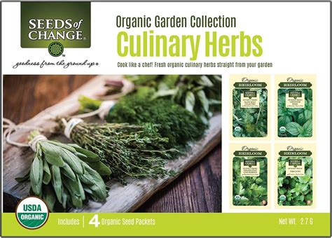 Amazon.com : Seeds Of Change 60-08328 Culinary Recipe 4 Packs Organic ...