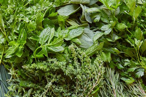 How to Use Up Fresh Herbs | Saveur