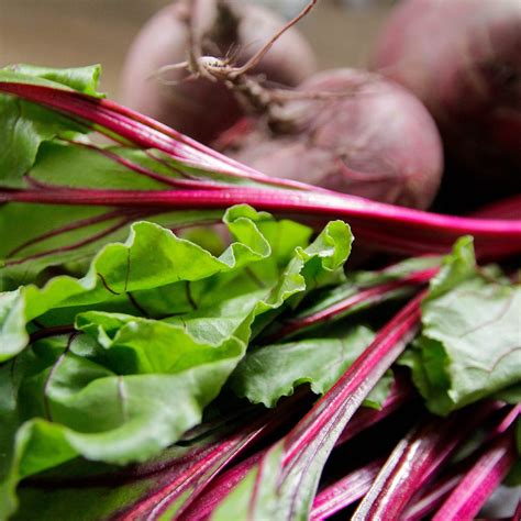 10 Types of Leafy Greens and How to Cook Them