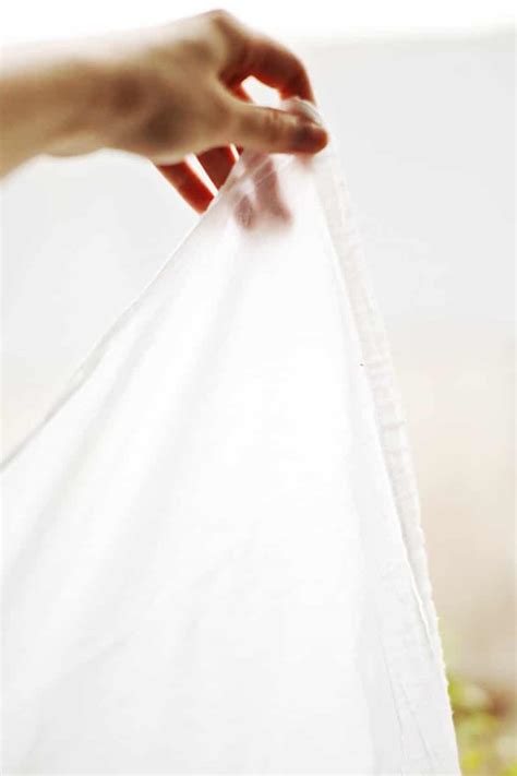 Food Photography Lighting Basics: 5+ Essential Tips For Beginners