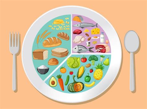 Colorful of a Healthy Food Plate Stock Vector - Illustration of ...