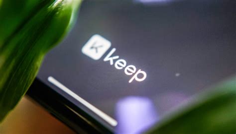 Keep produce vibrant: Best fridge storage for photo-ready freshness?