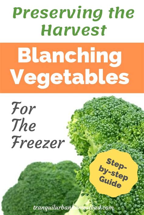 Achieve perfect vibrant greens when blanching seasonal vegetables?