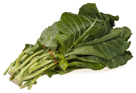 A List of 10 Dark Green Leafy Vegetables – List of Foods