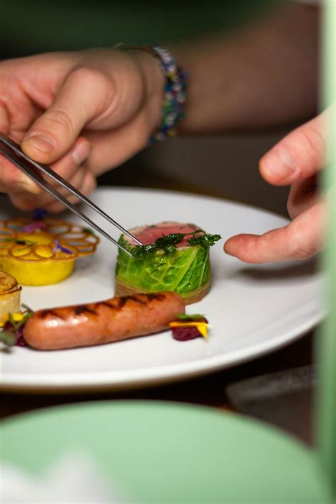 Best visual garnishes to elevate everyday gourmet recipes?