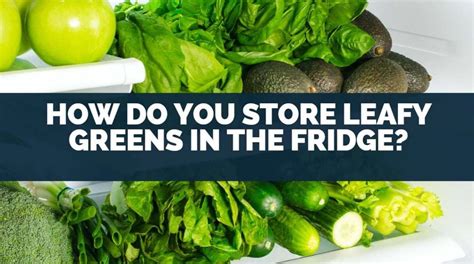 Keep Your Greens Fresh: The Ultimate Guide to Store Leafy Greens