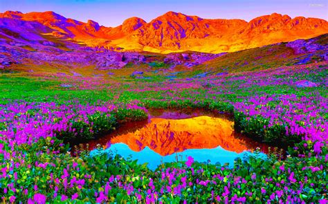 Vibrant Nature Wallpaper