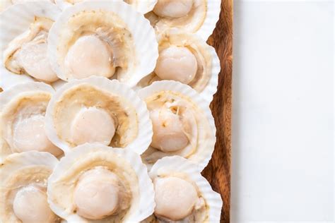 Raw uncooked scallops | Premium Photo