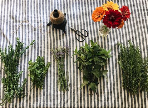 natalie creates: Drying Homegrown Herbs