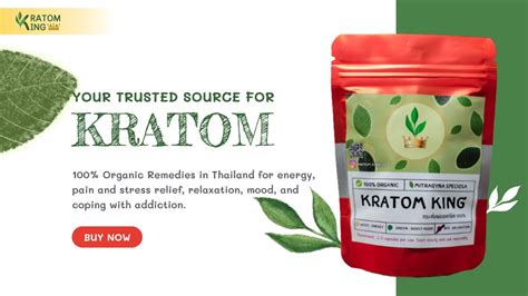 Best plating hacks to make home-cooked meals visually stunning for your feed?