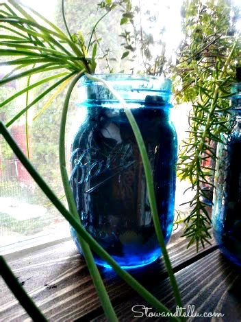 Herbs in a Vintage Blue Ball Jar (Kitchen Update 4)