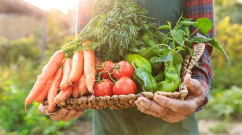 Demand for Fresh Food Transparency is Changing Retail - Extenda Retail