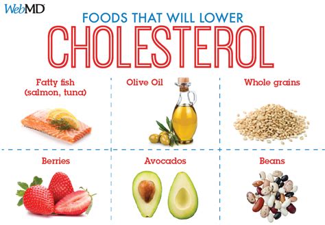 foods to decrease cholesterol