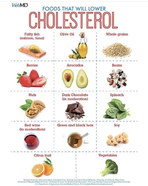 Printable Cholesterol Food Chart