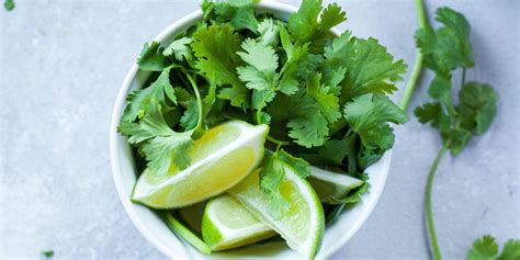 6 Unusual Ways to Enjoy Fresh Culinary Herbs - Baltimore Foodshed