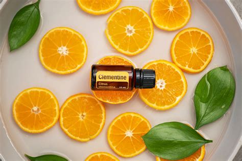 Essential oils for aromatherapy: Benefits, types, uses