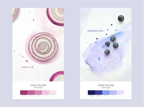 食物的色彩 food colors on Behance