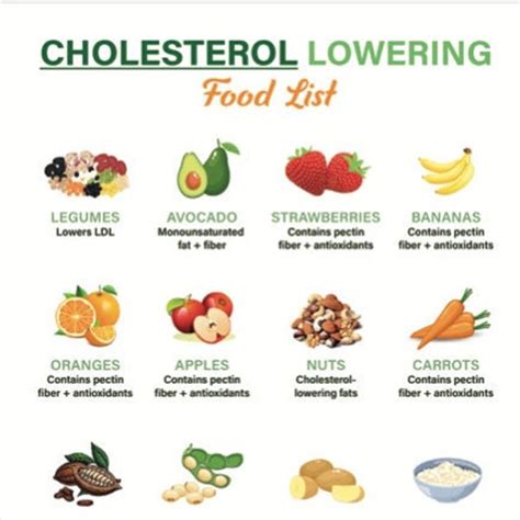 High Cholesterol Food Chart - Etsy