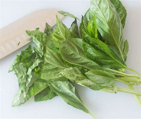How to Freeze Fresh Herbs in Olive Oil - Domestically Speaking
