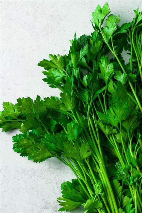 What To Do With Leftover Parsley - One Girl. One Kitchen.