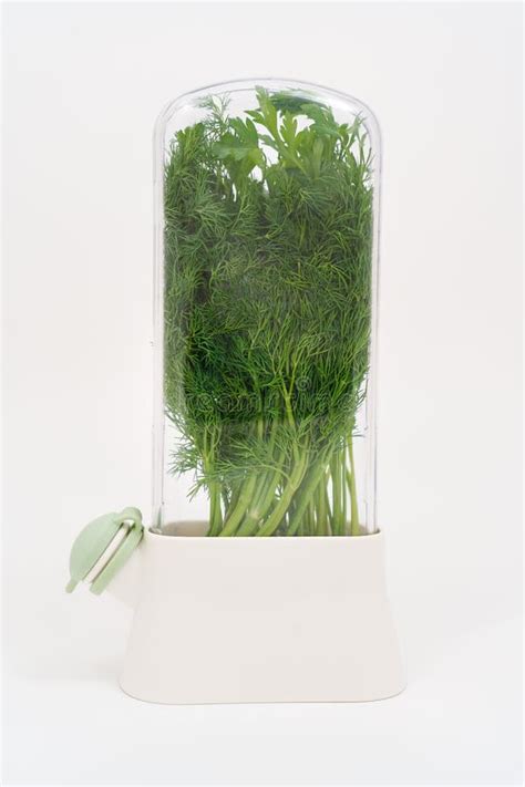 Container with Water To Store Greens in the Refrigerator on a White ...
