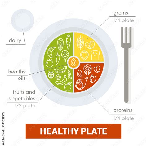 Healthy plate concept Stock Illustration | Adobe Stock