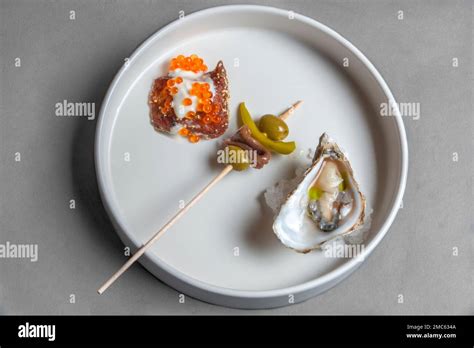 A Birdseye view of a modern plated meal, shot against a plain grey ...