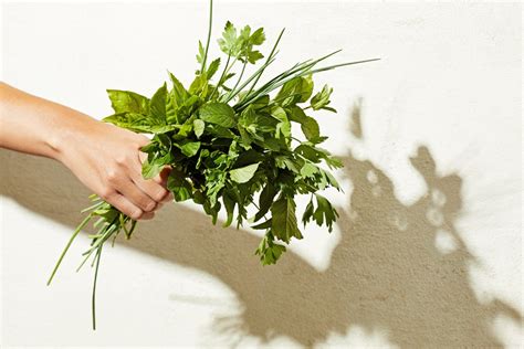 How to push fresh herbs beyond the garnish: Use with abundance and ...