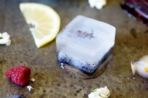 Fruit herb flavored ice cubes – Artofit